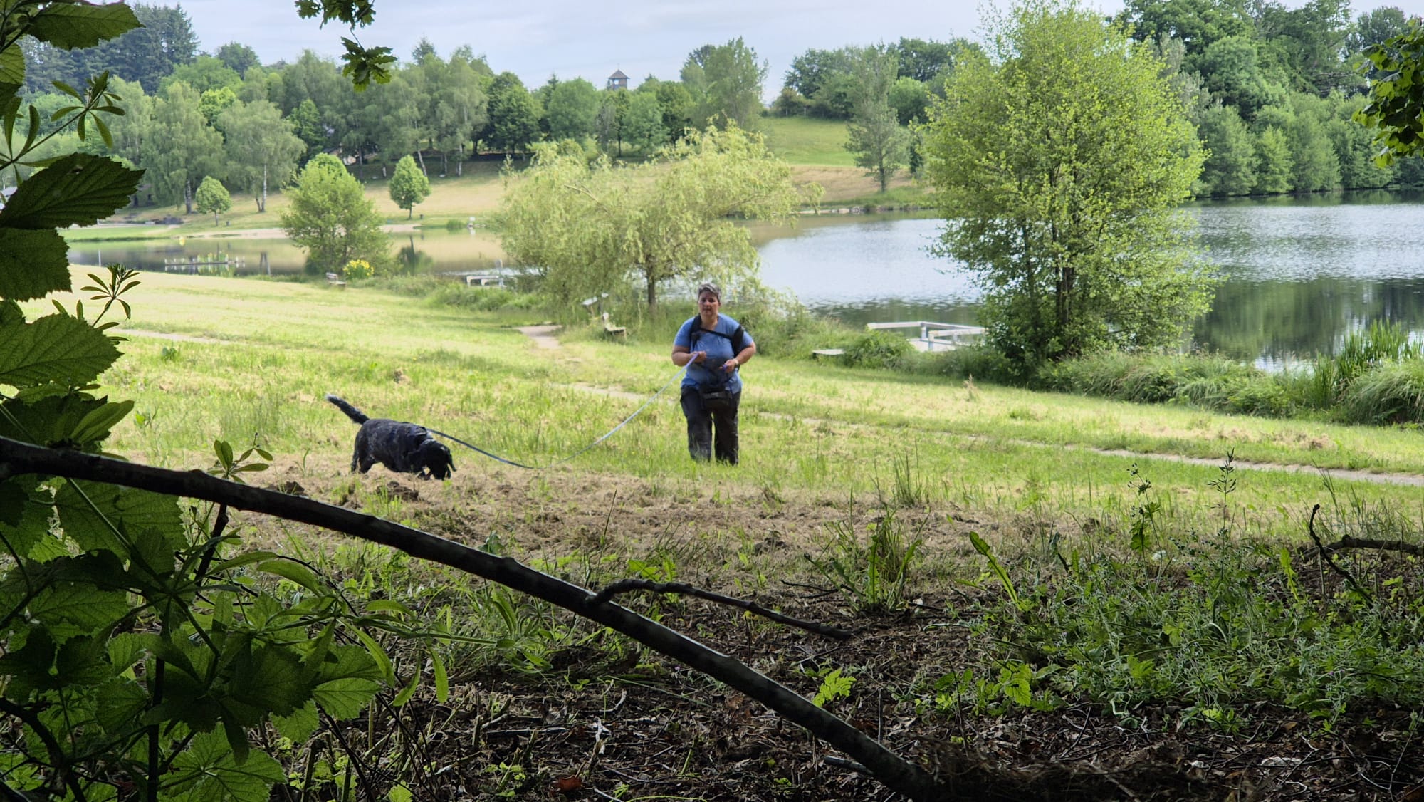 MantrailCamps begeleiding